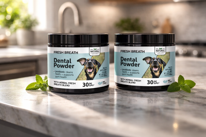 Postbiotic Daily Dental Powder