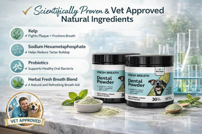 Postbiotic Daily Dental Powder